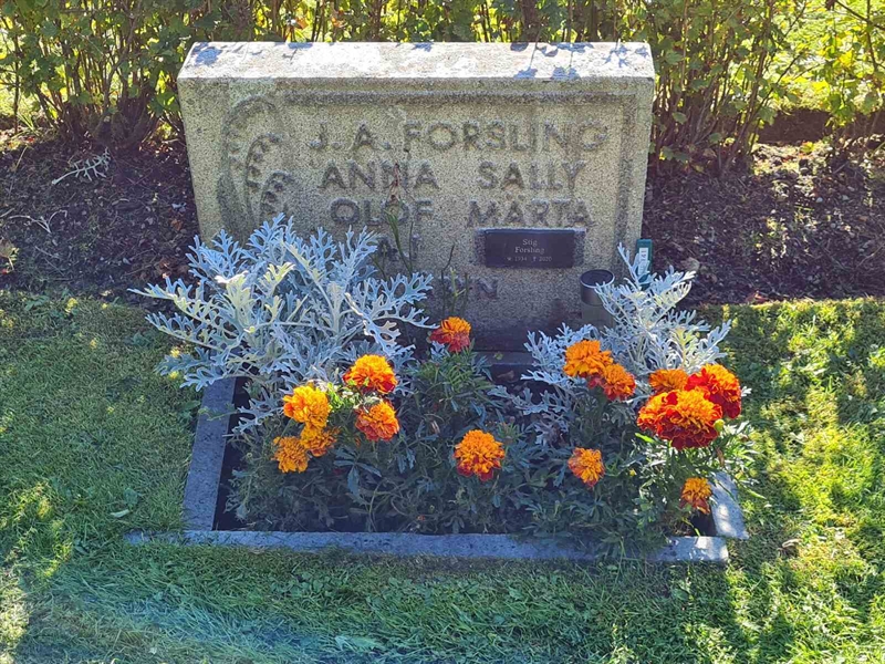 Grave number: Ö III  141