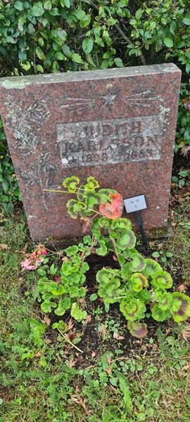 Grave number: M 18    6