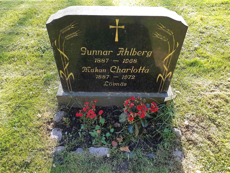 Grave number: Fr 7   118-119