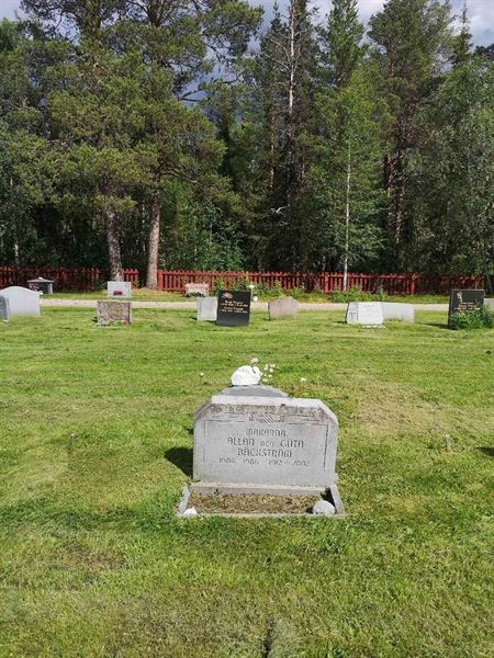 Hautatunnus: PK   133