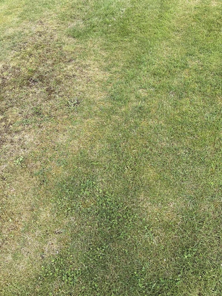 Grave number: SKF E   175