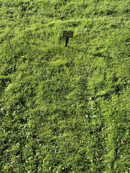 Grave number: 2 H    27