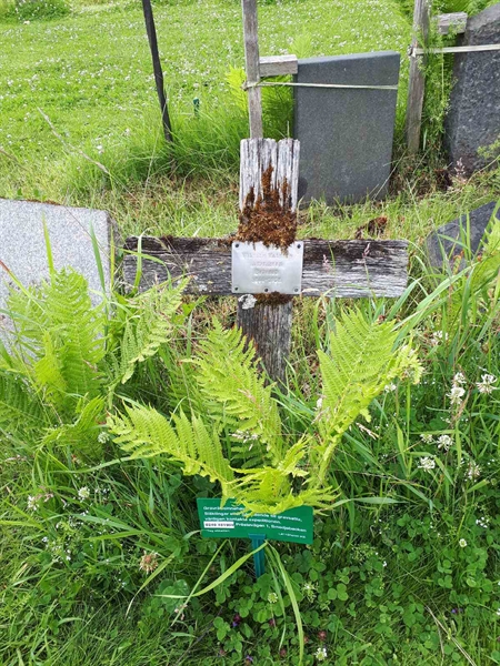 Grave number: GK A 5   218M