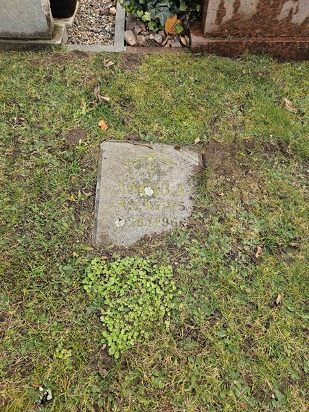 Hautatunnus: VV C 28A