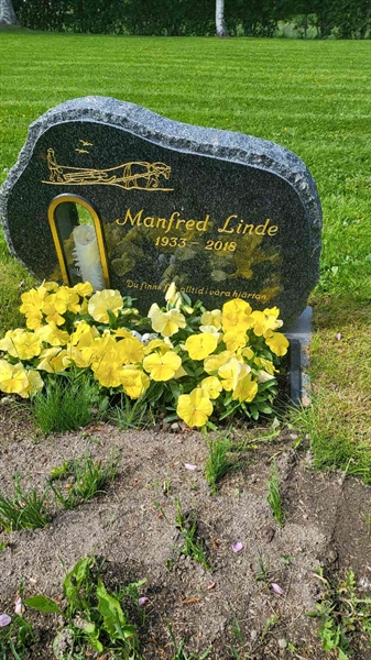 Grave number: D N 8  2286