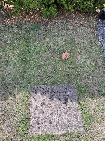 Grave number: NK I:u   118