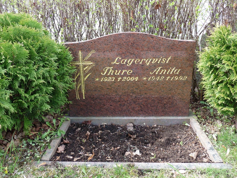 Grave number: LE 1   81