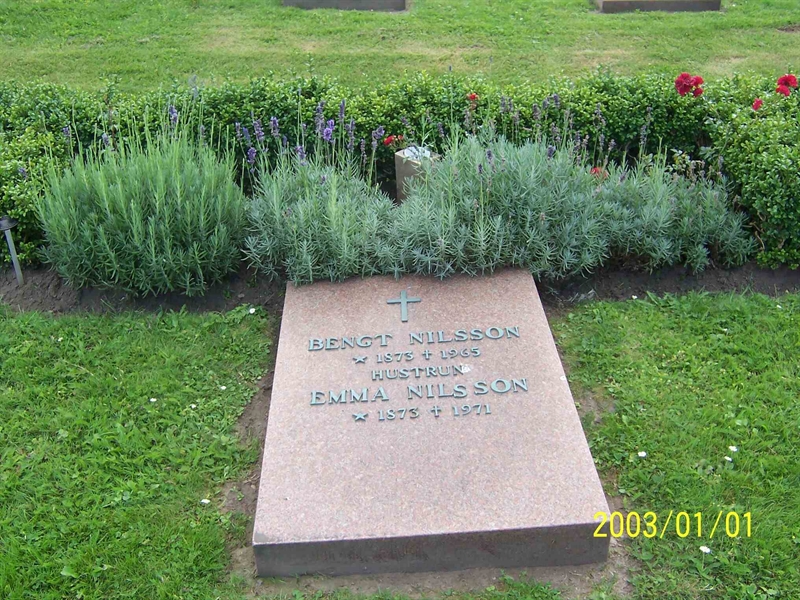 Grave number: 1 3 2C    49, 50