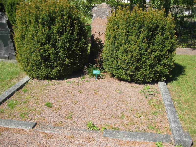 Grave number: BK KV2   146