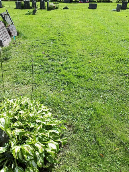 Gravnummer: NK A A   132