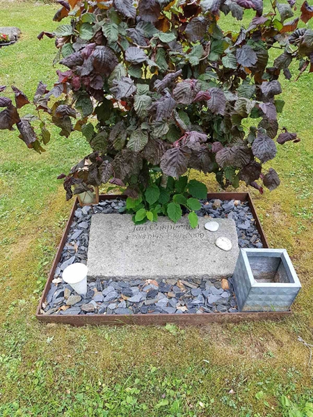 Grave number: 01 13421