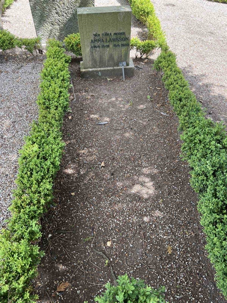 Grave number: AN M   199