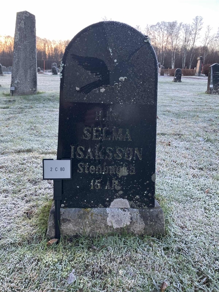 Gravnummer: 2 C    80