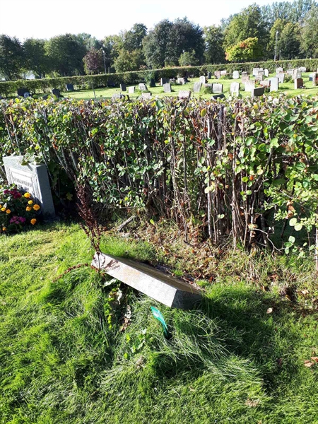 Gravnummer: NK F B   185A