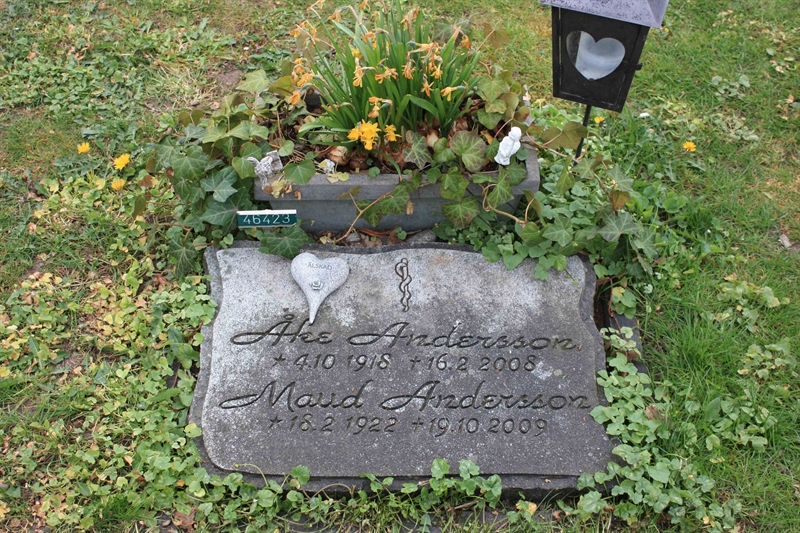 Grave number: Ö 46   423