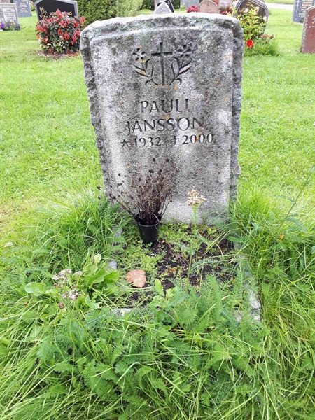 Hautatunnus: NK F D   254