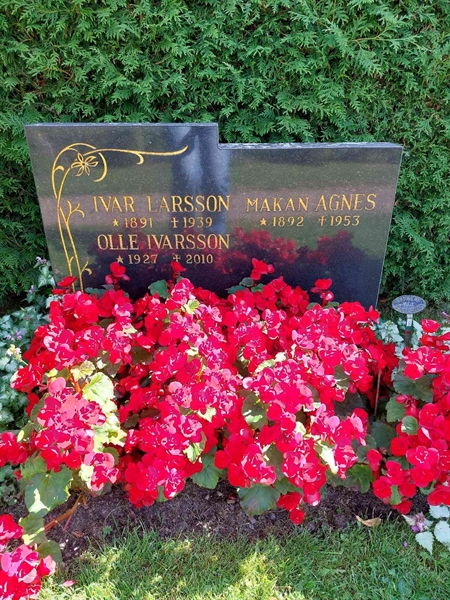 Hautatunnus: 1 D   065