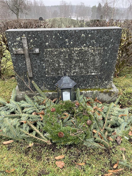 Hautatunnus: Vårv Kv3 238+239