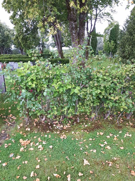 Gravnummer: NK F A    18