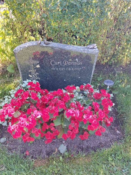 Hautatunnus: 1 D   025