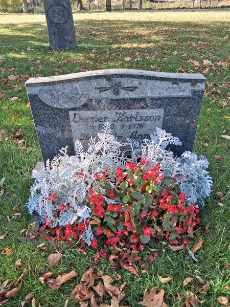 Grave number: SRG 2   221, 222