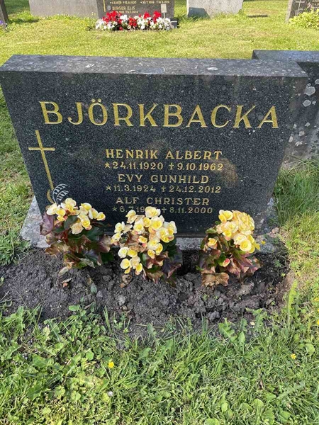 Hautatunnus: N 5 2   178b