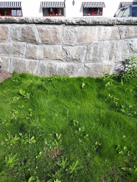 Grave number: NK F G   188