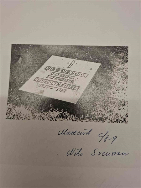 Gravnummer: 40 C     8-9