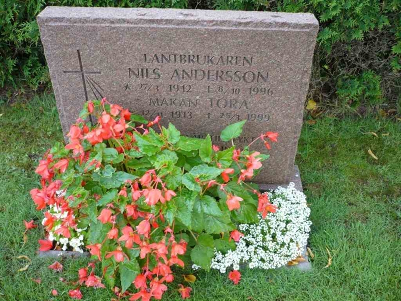 Grave number: VK H    31, 32, 33