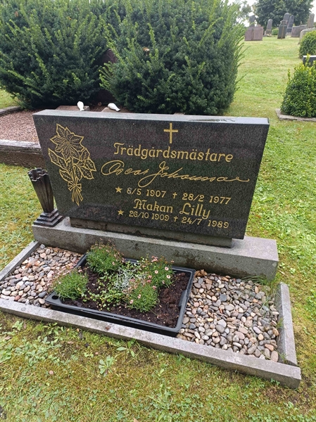 Hautatunnus: TÖ 4    17U