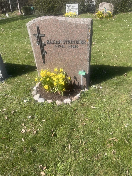 Grave number: 1 3 F1 299
