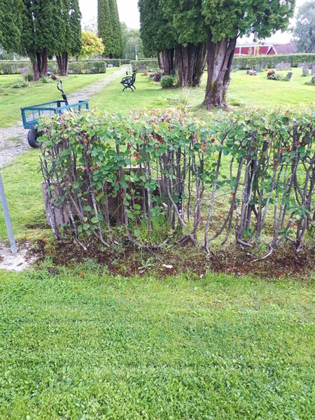 Gravnummer: NK F A    95