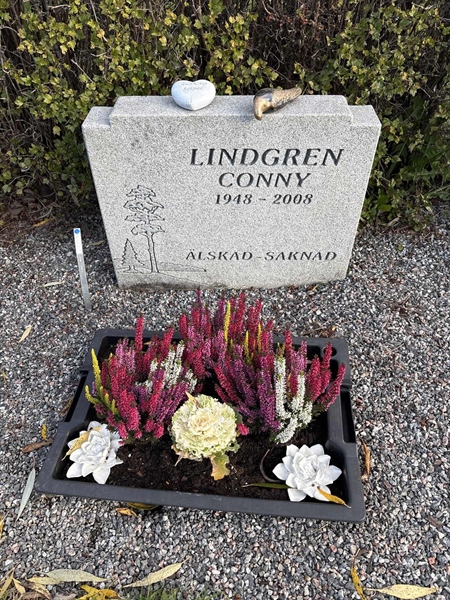 Grave number: 4 N ND   393