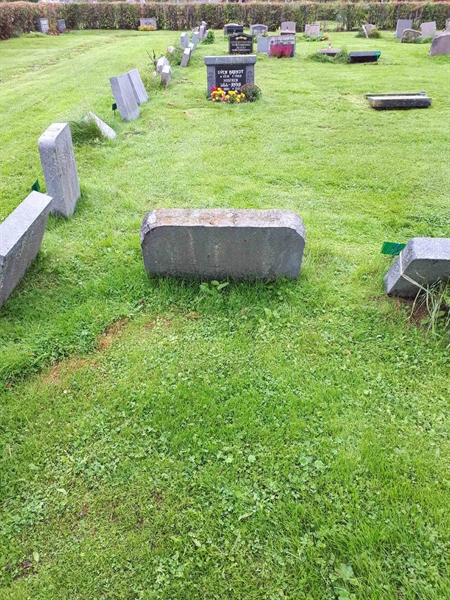 Hautatunnus: NK F B  1041