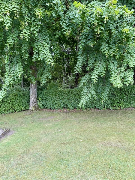 Hautatunnus: AN 1     5