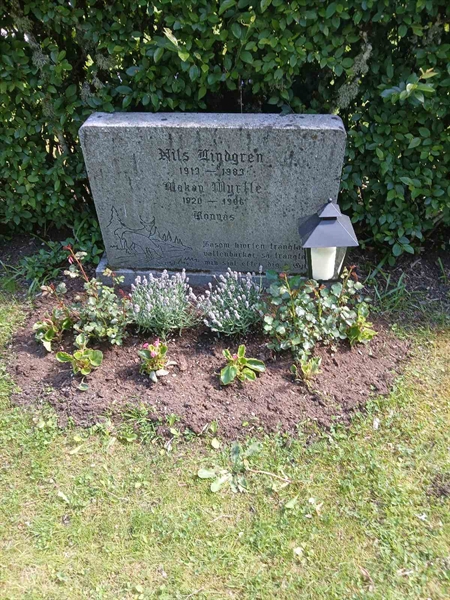 Hautatunnus: Nå NV A  114, 115
