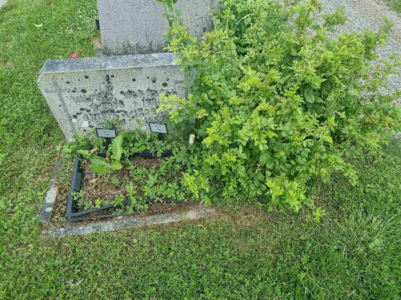 Grave number: SI 7  1185, 1186