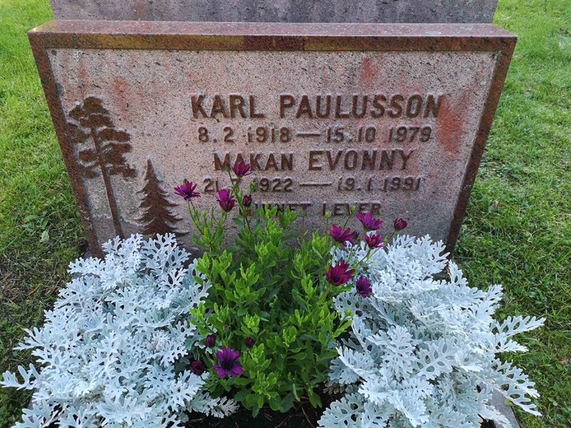 Grave number: VLM 11    56:1-2