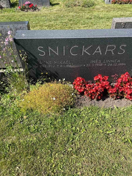 Hautatunnus: N 5 1    55