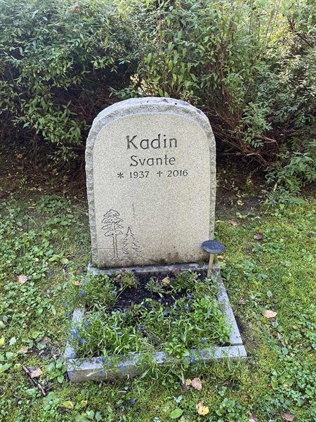 Hautatunnus: 30ST HÄGG    38