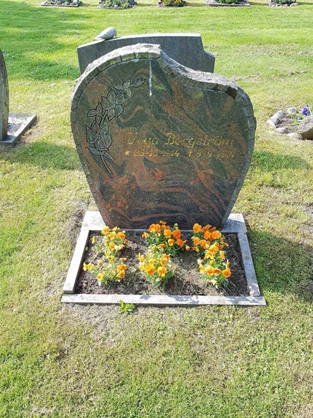 Grave number: 01  4349