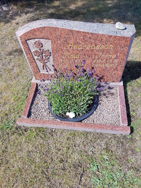 Grave number: 01  2236