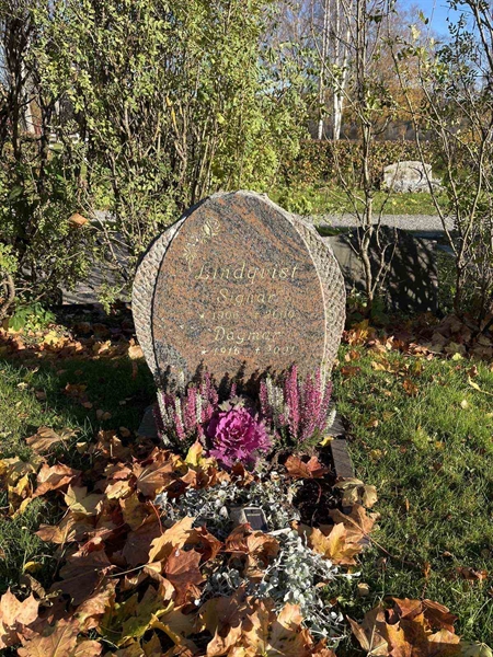 Gravnummer: 3084 J    49-50