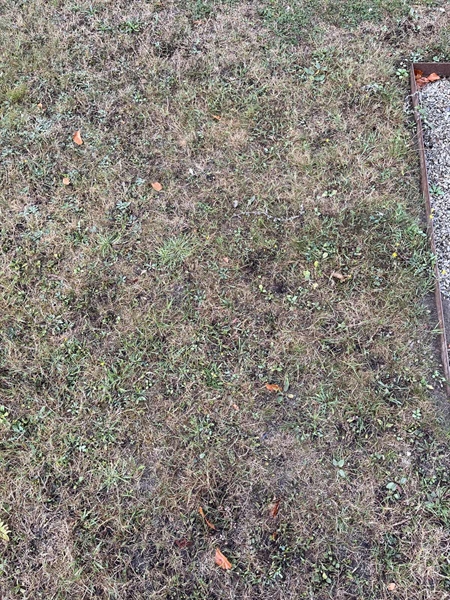 Grave number: NK XV:u    50