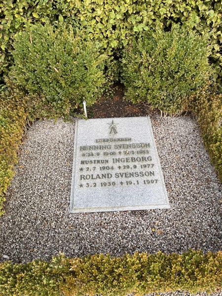 Grave number: NK Urn p    17