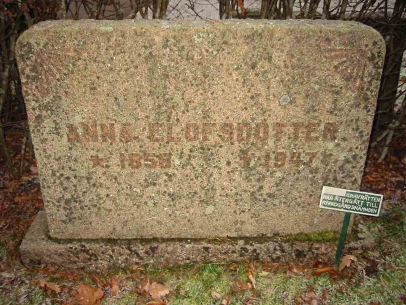 Grave number: KV 3   164