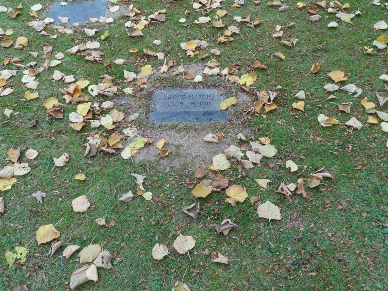 Grave number: 2 01   302