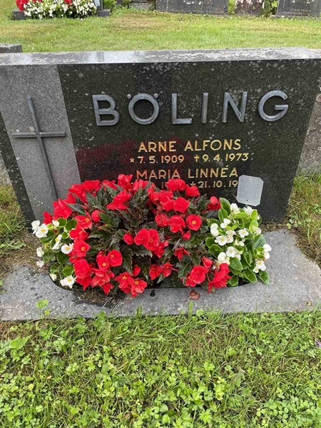 Gravnummer: N 4 4   553b