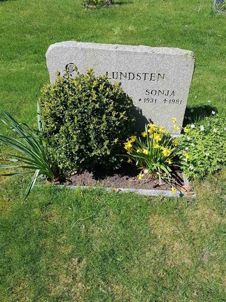 Grave number: 01  3742