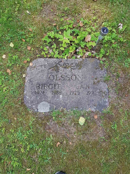 Grave number: 01  2580